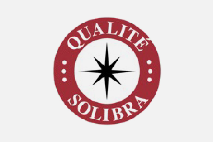 AIVDP logo PARTENAIRES Plan de travail 6@2x-100